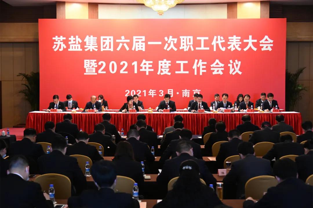 開(kāi)局，2021蘇鹽交出高質(zhì)量倍增發(fā)展優(yōu)異答卷