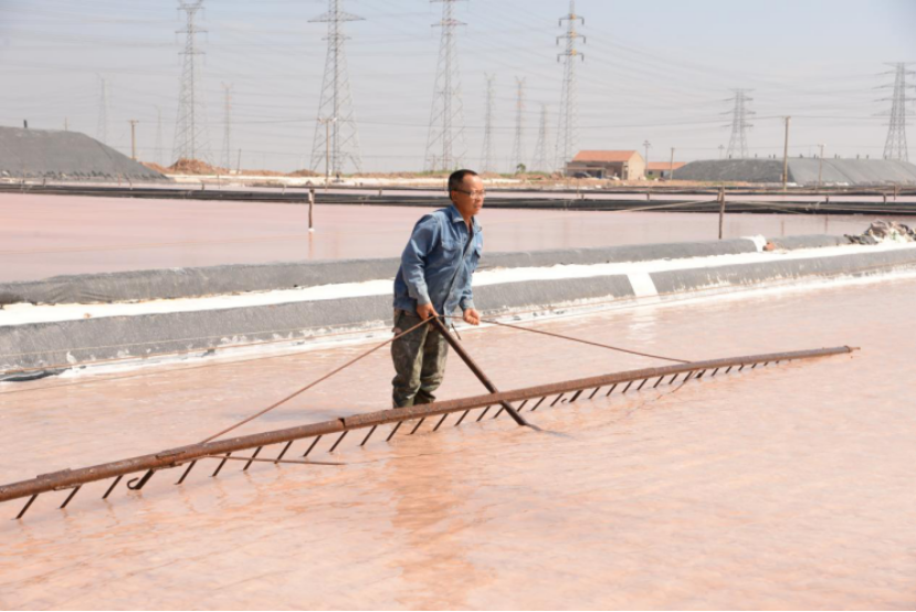 蘇鹽集團(tuán):戰(zhàn)高溫斗酷暑,致敬堅(jiān)守一線的最美蘇鹽人! 蘇鹽集團(tuán):戰(zhàn)高溫斗酷暑,致敬堅(jiān)守一線的最美蘇鹽人!