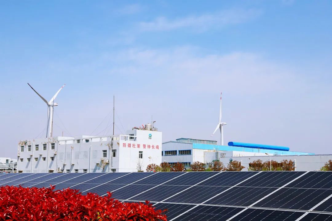 念好改革“真”字訣，激活高質(zhì)量發(fā)展“一池春水”——蘇鹽集團黨委推進國企改革三年行動綜述