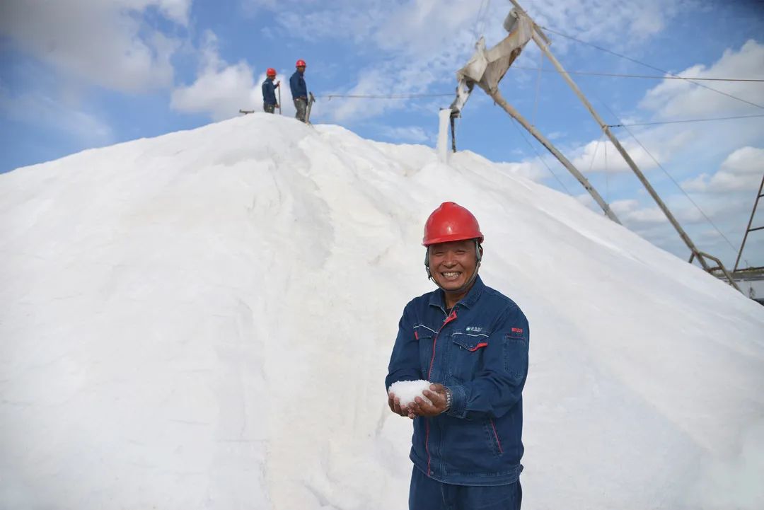 瑞泰鹽業(yè)公司丨萬(wàn)畝銀灘秋扒忙 顆粒歸倉(cāng)迎豐收 瑞泰鹽業(yè)公司丨萬(wàn)畝銀灘秋扒忙 顆粒歸倉(cāng)迎豐收